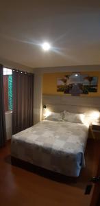 塔克纳HOTEL SUDAMERICANA INN的一间卧室设有一张大床和一个窗户。