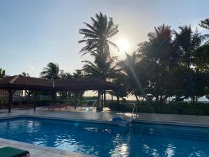 伯利兹城St. George's Caye Resort的一座棕榈树环绕的游泳池
