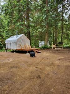 阿灵顿Landing at Lake Ploenta的森林中的帐篷和木桌