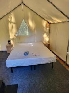 阿灵顿Landing at Lake Ploenta的房间里的帐篷里的一张床位