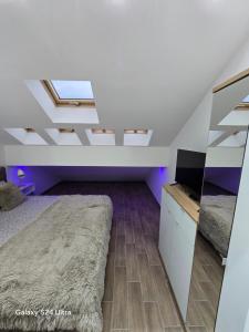 Novi BeogradIDILA SPA的阁楼卧室配有1张床和电视