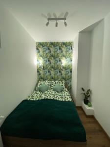 克拉科夫EM Room的一间卧室配有绿床和绿毯