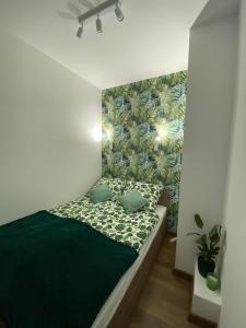 克拉科夫EM Room的一间卧室设有一张绿色的床和绿色的墙壁