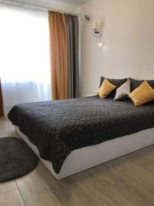 切尔尼戈夫Light Apartments的一间卧室配有一张带黑色棉被的床