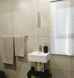 哈里史密斯Olive Tree Studio Apartment的浴室配有盥洗盆、镜子和毛巾