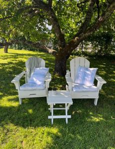 斯塔韦恩Koselig leilighet sentralt i Stavern的两把白色的椅子和一张桌子在树下
