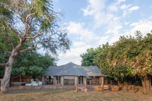 MfuweMopani Safari Lodge的树前带长椅的帐篷