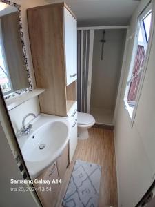 克罗诺维察Mobile home Relax的一间带水槽和卫生间的浴室