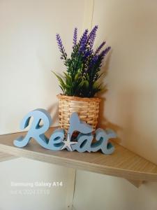 克罗诺维察Mobile home Relax的架子上装着篮子和植物