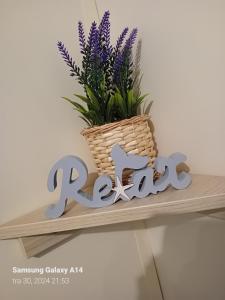 克罗诺维察Mobile home Relax的一块紫色的花篮和架子上的标志