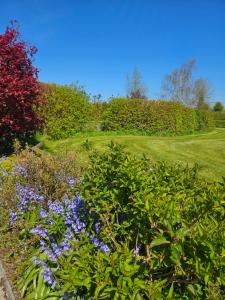 LecarrowArd Aoibhinn Roscommon的前庭花园,鲜花盛开