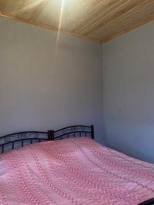 沙马基Şamaxı Cennetbagı Evi的卧室配有粉红色的床和木制天花板