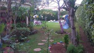 穆罕默迪耶Villa entièrement meublée à louer à Mohammedia的庭院里种着树和人的花园