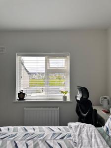 利默里克Room in Limerick的一间卧室设有一张床和一个窗口