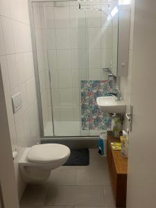 吉维西伊兹Happy的浴室配有卫生间、淋浴和盥洗盆。