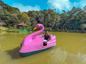 坎波斯杜若尔当Hotel Fazenda Golden Park Campos do Jordão的两个孩子在水里乘坐一只粉红色的天鹅船