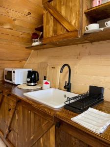 Enjoy the quiet nature in our unique cottage的厨房配有水槽和台面上的微波炉