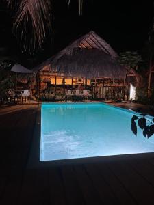 帕洛米诺chill out hostel的夜间游泳池,带茅草屋顶
