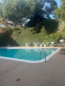 洛杉矶Laurel house weho historic district的一个带椅子和桌子的游泳池以及树木