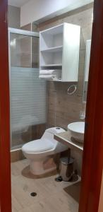 塔克纳HOTEL SUDAMERICANA INN的一间带卫生间和水槽的浴室