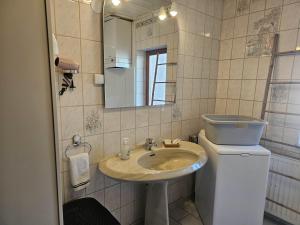 斯特拉斯堡Petit Paradis Croneuva的一间带水槽和镜子的浴室