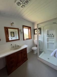 比舍诺Seaview Apartment - Tidelines of Bicheno的带淋浴、盥洗盆和卫生间的浴室