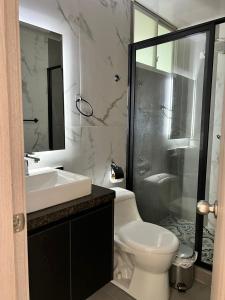新洛哈Hotel Amazonas Suite, Suite Presidencial的浴室配有卫生间、盥洗盆和淋浴。