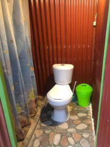 圣玛尔塔El Parque del Loro的一间带卫生间和绿色桶的浴室