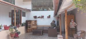SicuaniCasa Turistica Las Tunas的带沙发和一些植物的客厅
