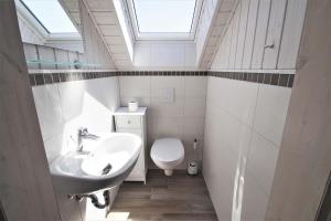 米罗Seeschwalbe Classic 322的浴室配有水槽和带天窗的卫生间。