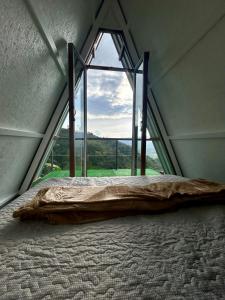 迦太基Glamping La Mardo的一张位于带大窗户的房间内的床铺