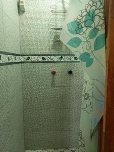 瓦拉斯ALOJAMIENTO PICSHA EXPEDITIONS的一间带淋浴的浴室和瓷砖墙