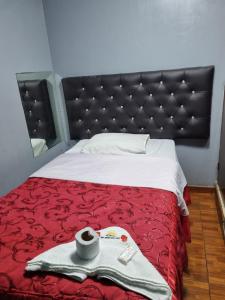 利马Hostal Chavin的一间卧室配有一张带红色毯子和镜子的床