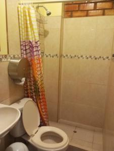瓦拉斯ALOJAMIENTO PICSHA EXPEDITIONS的一间带卫生间和淋浴的浴室
