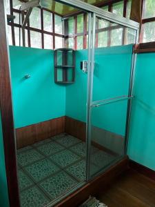 德雷克Nativos Corcovado cabins的蓝色墙壁和玻璃门淋浴