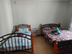 Rodrigues IslandVilla Elyza的一间卧室配有两张双层床。