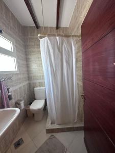 沙姆沙伊赫Studio 2的浴室设有卫生间和白色的淋浴帘