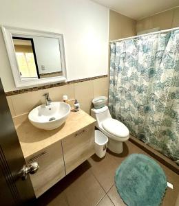 蒙特里科Agradable estancia en Monterrico的一间带水槽、卫生间和淋浴的浴室
