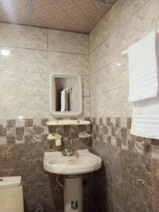 伊斯兰堡Islamabad Premium Hotel的一间带水槽、镜子和卫生间的浴室