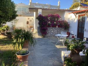 阿纳卡普里B&B Casetta Minghitto的种有盆栽植物的庭院和房子里的桌子