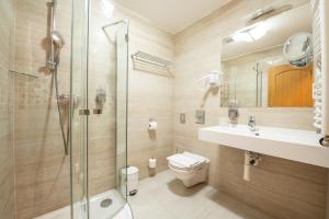 布尔诺贝尔克莱迪酒店的带淋浴、卫生间和盥洗盆的浴室