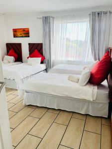 德班Frere Hill Guesthouse的带窗户的客房内的两张床和红色枕头