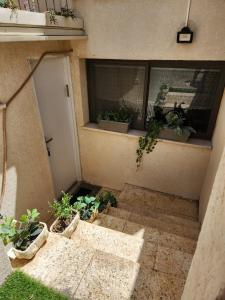 Beʼer Oraפינה קטנה בערבה的享有种植了盆栽植物的阳台的外部景色