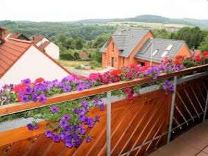 海利肯施塔特Ferienwohnung am Rotdornweg的阳台种有紫色和紫色的花朵