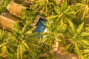 吉利阿尔Selvática的棕榈树之间游泳池的顶部景色