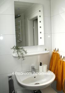 HauCozy Apartment in Bedburg-Hau的浴室设有白色水槽和镜子