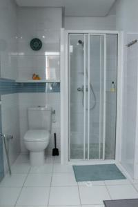 哈曼苏斯Dar Marrakech Apartment Sousse的一间带卫生间和玻璃淋浴间的浴室
