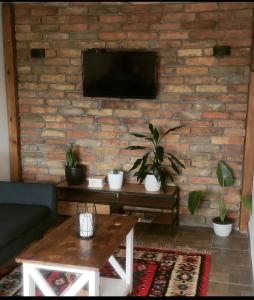 皮罗特Vila Zapis的客厅设有砖墙和电视