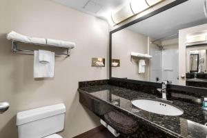 阿尔图纳Quality Inn & Suites Altoona Pennsylvania的一间带水槽、卫生间和镜子的浴室