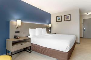休斯顿康福特茵酒店套房酒店FM1960 - 冠军酒店的一张大床,位于酒店带床头柜的房间里